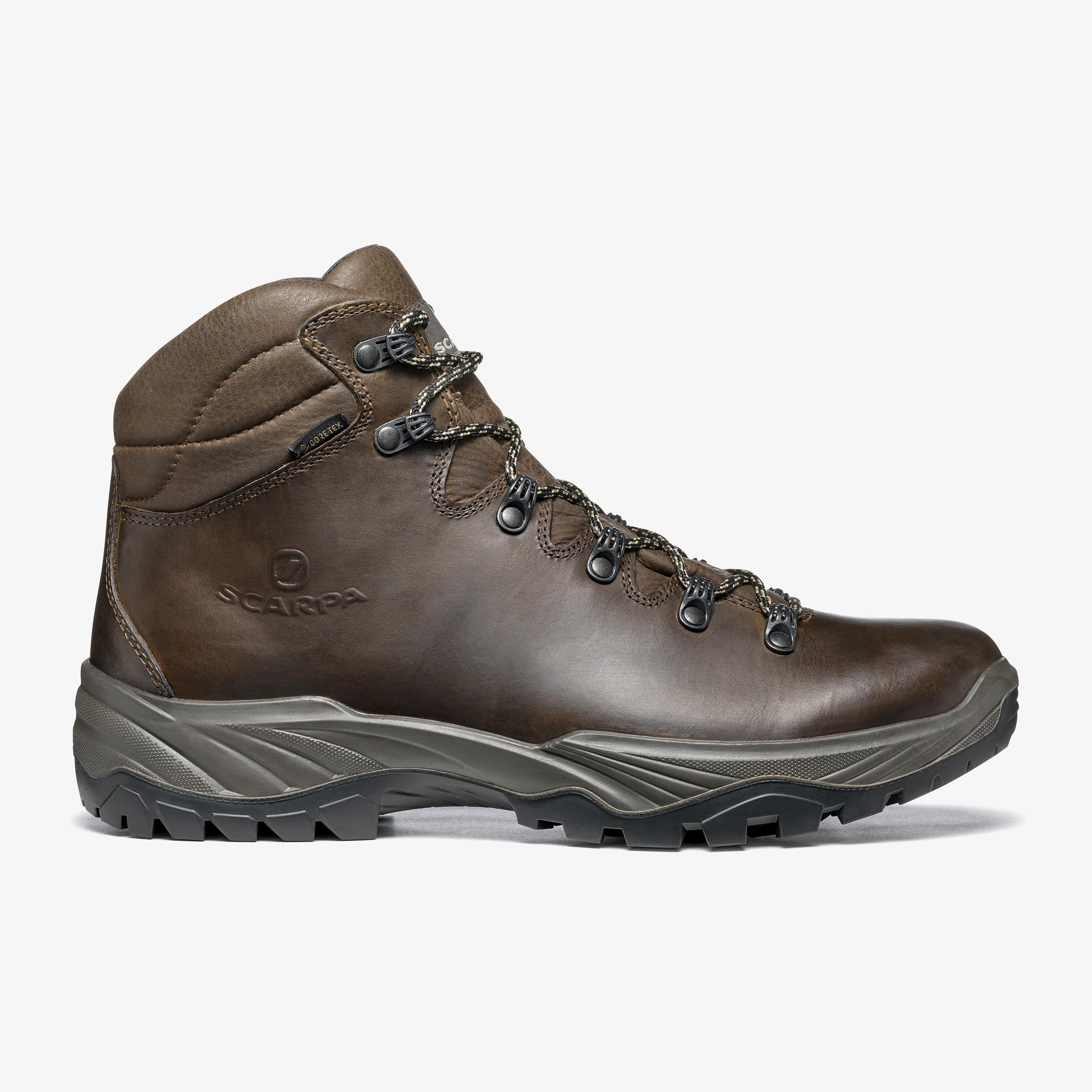 TERRA GTX: Hiking - Scarpa