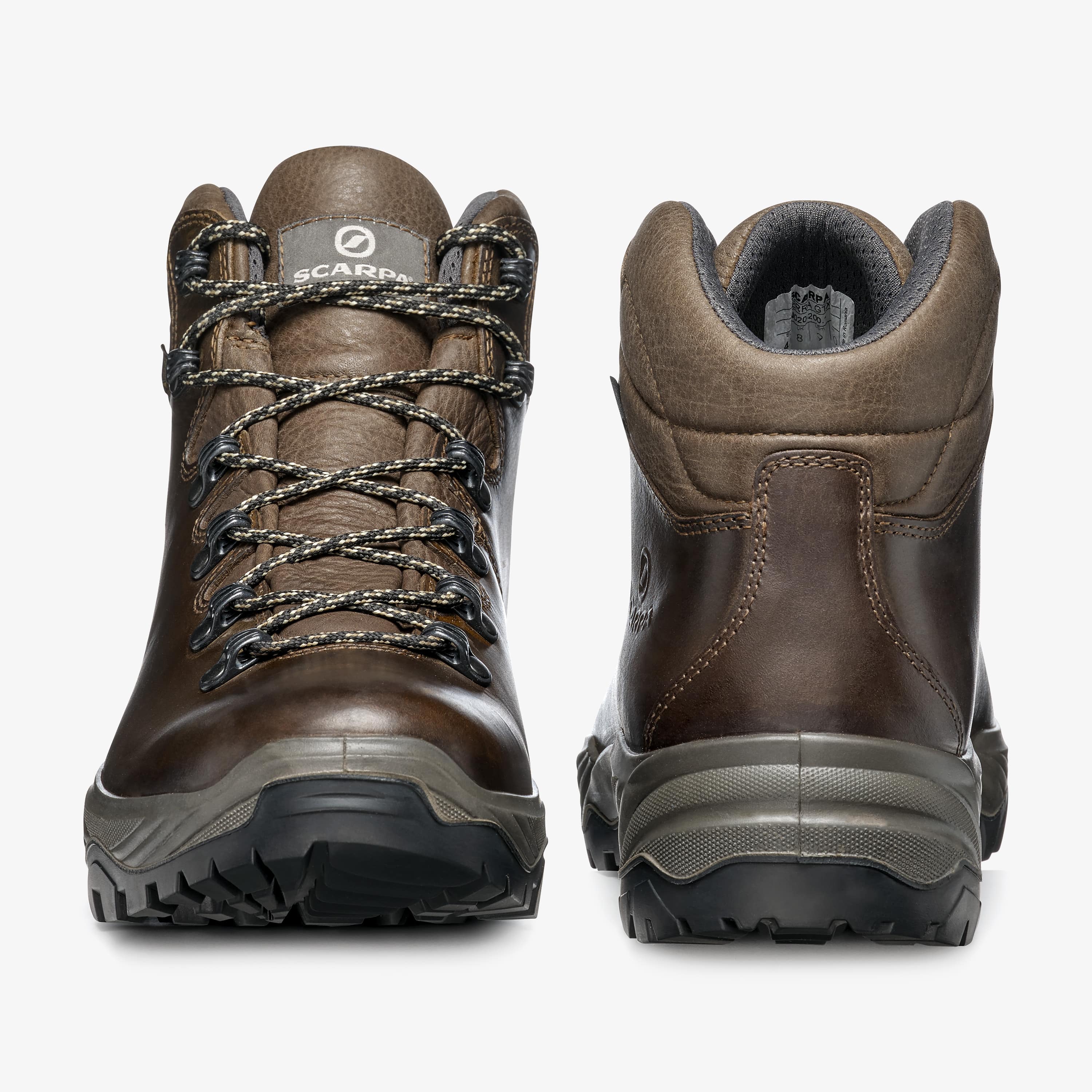 TERRA GTX: Hiking - Scarpa