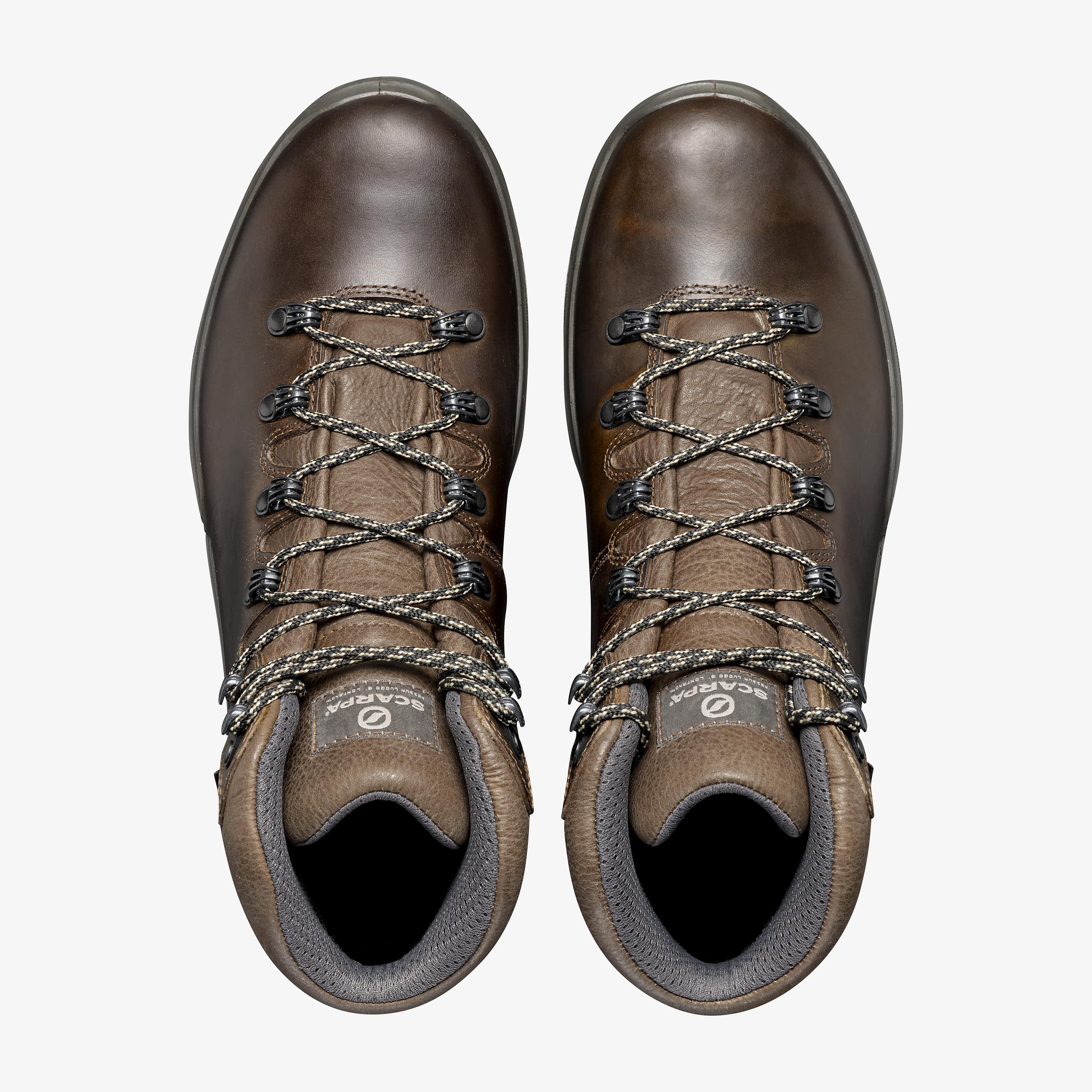 TERRA GTX: Hiking - Scarpa