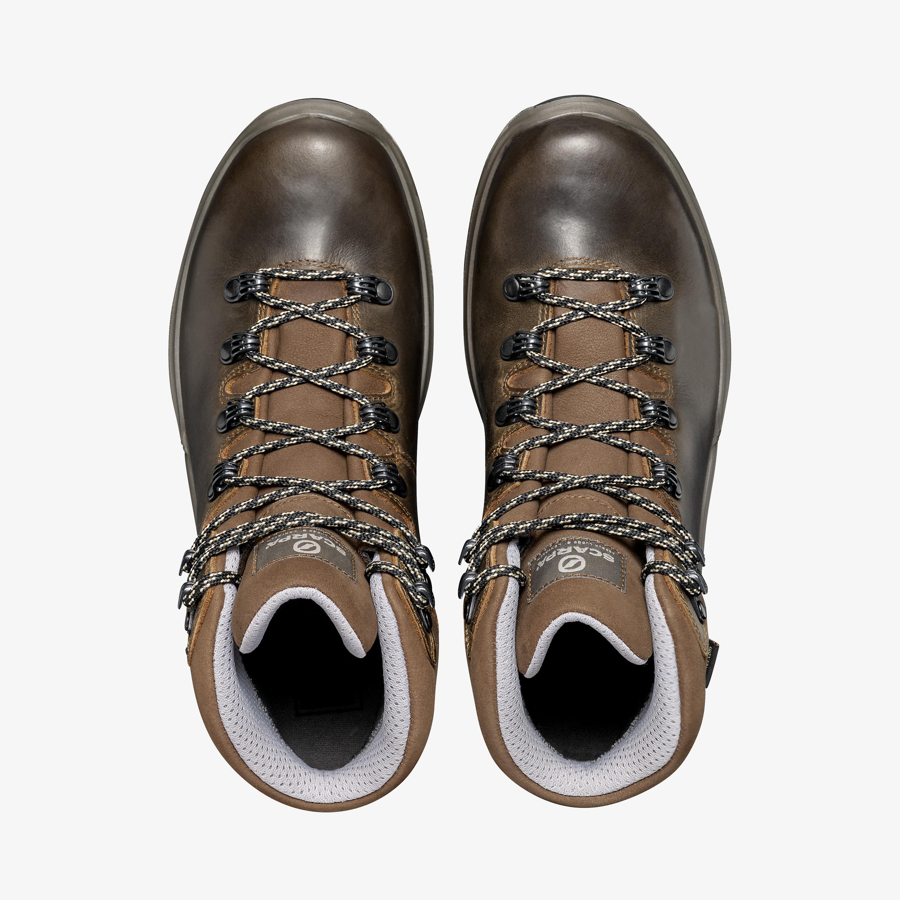 TERRA GTX WOMAN: Hiking - Scarpa