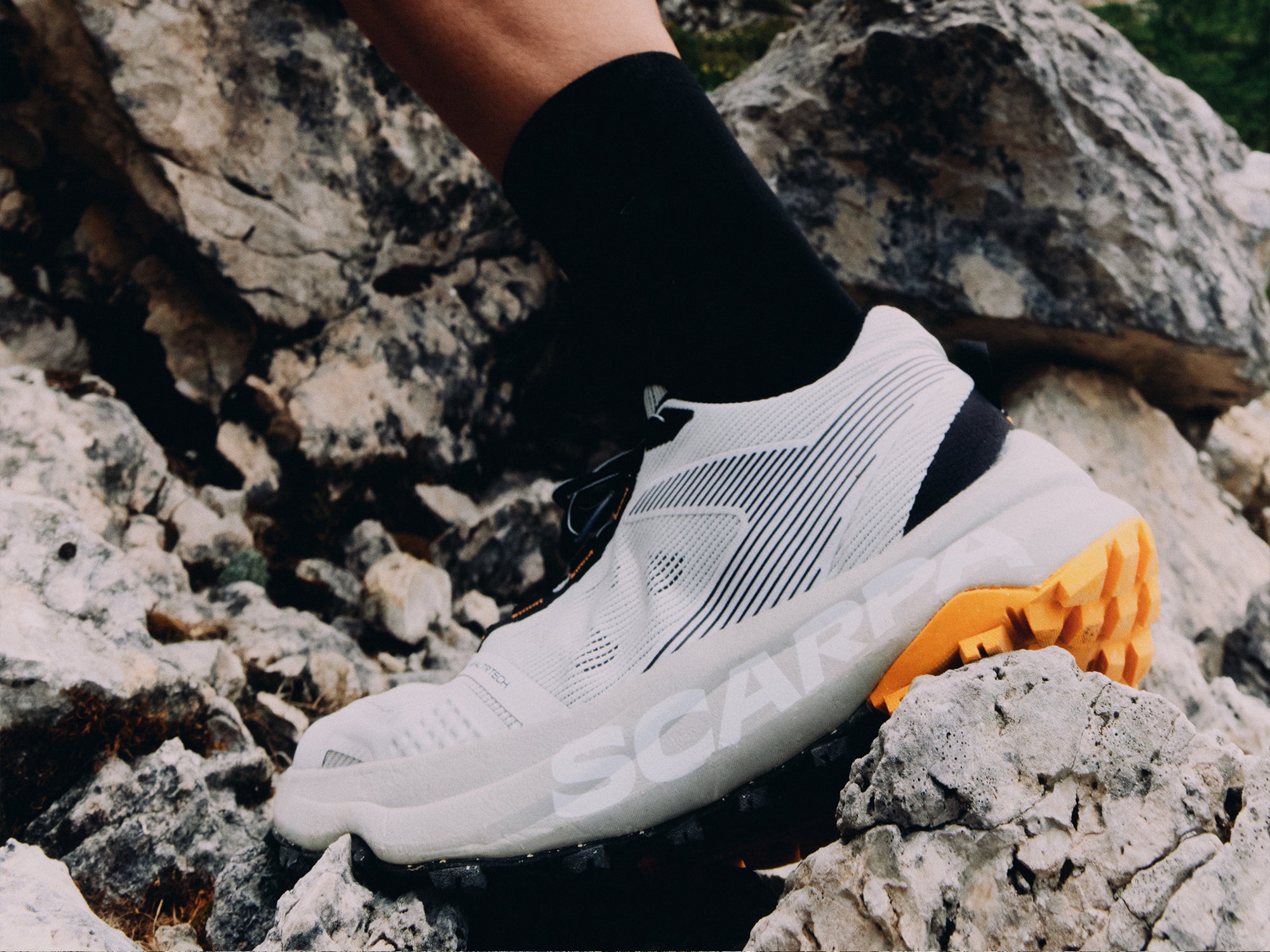Close-up of SCARPA Spin Planet trail running shoes
