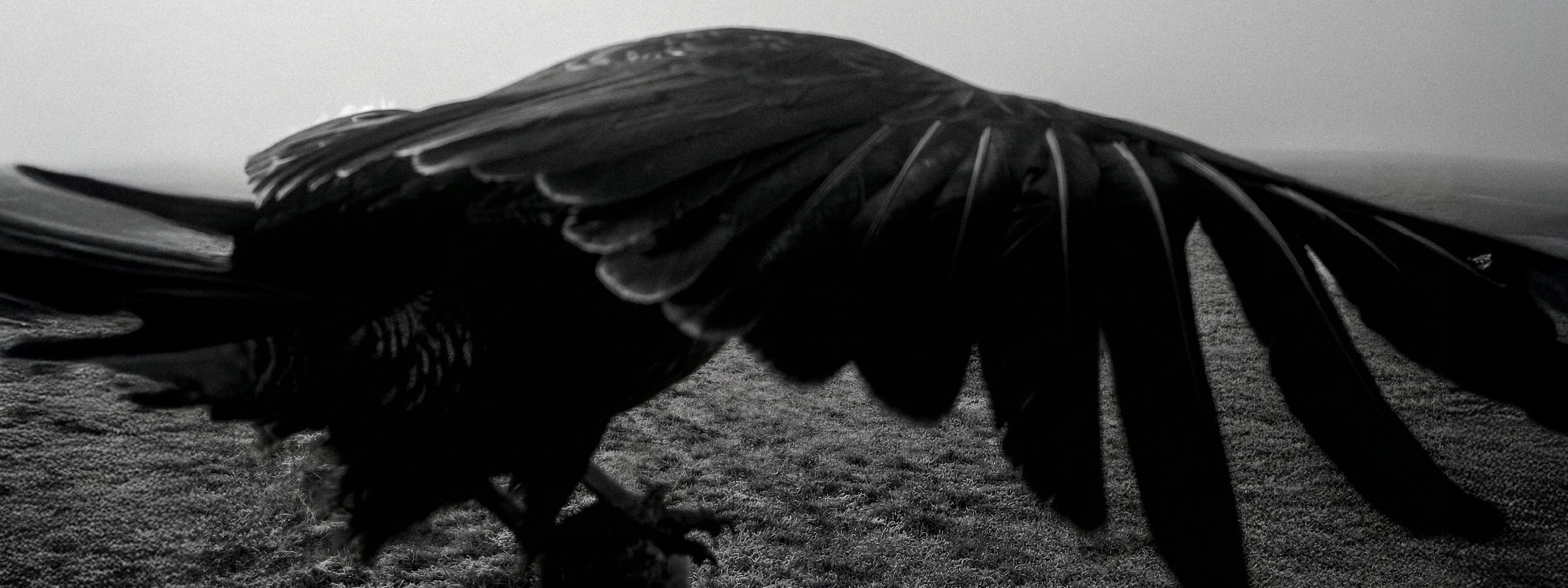 SCARPA Black Bird climbing shoe