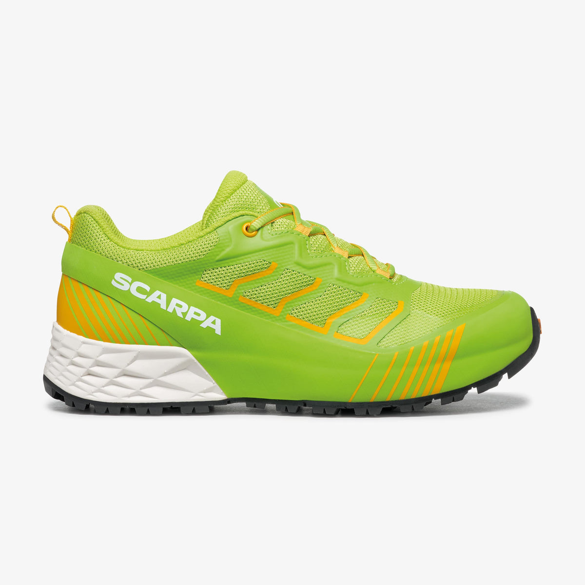 RR-Y: Bambino Scarpa