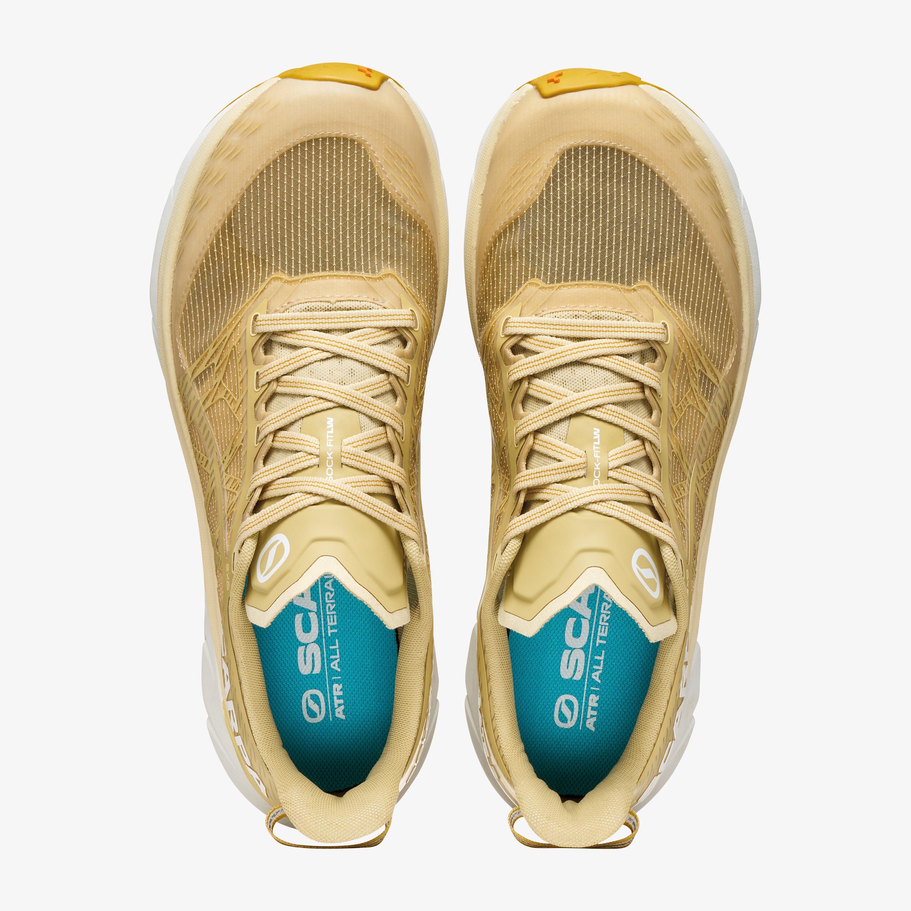 GOLDEN GATE 2 ATR: Trail Running | Scarpa