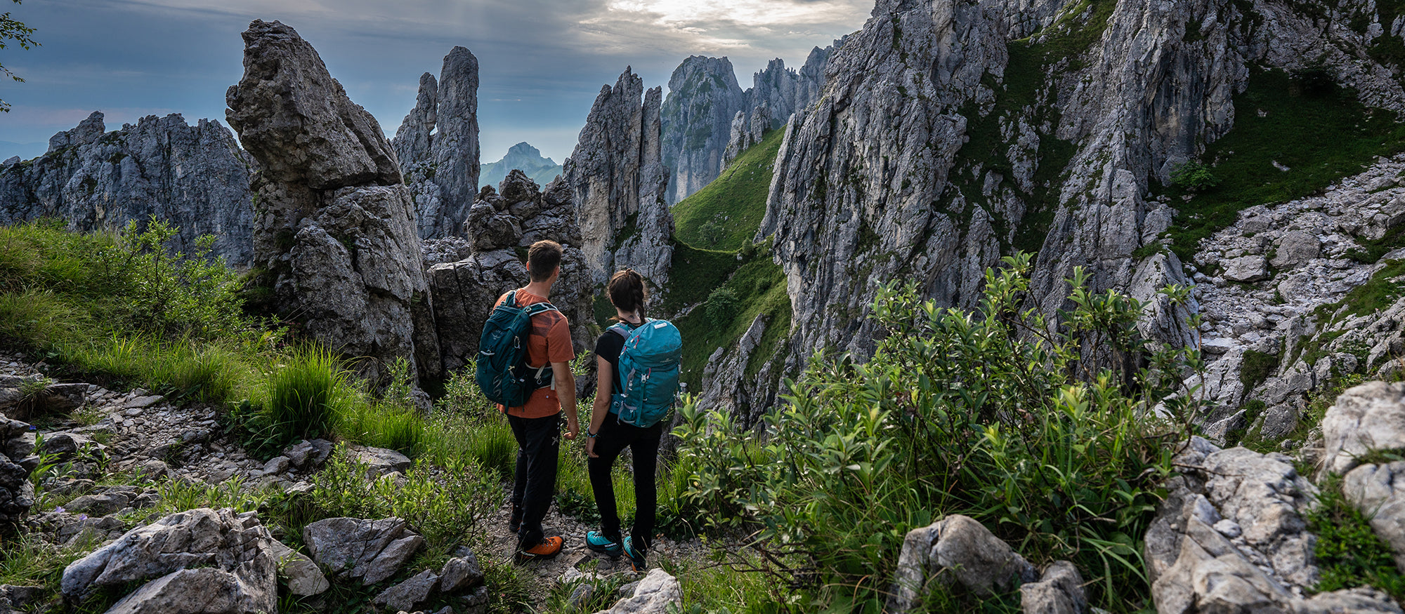 challeging trail with Ribelle Trk GTX
