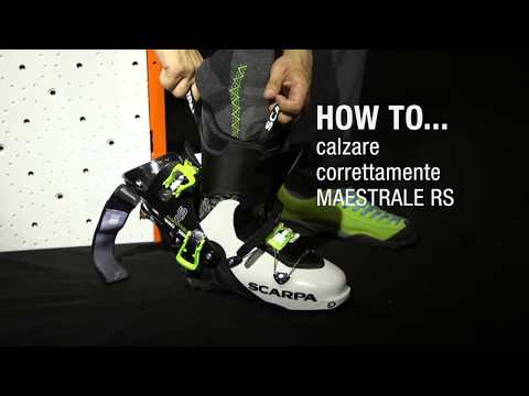 MAESTRALE RS: Ski Mountaineering | Scarpa